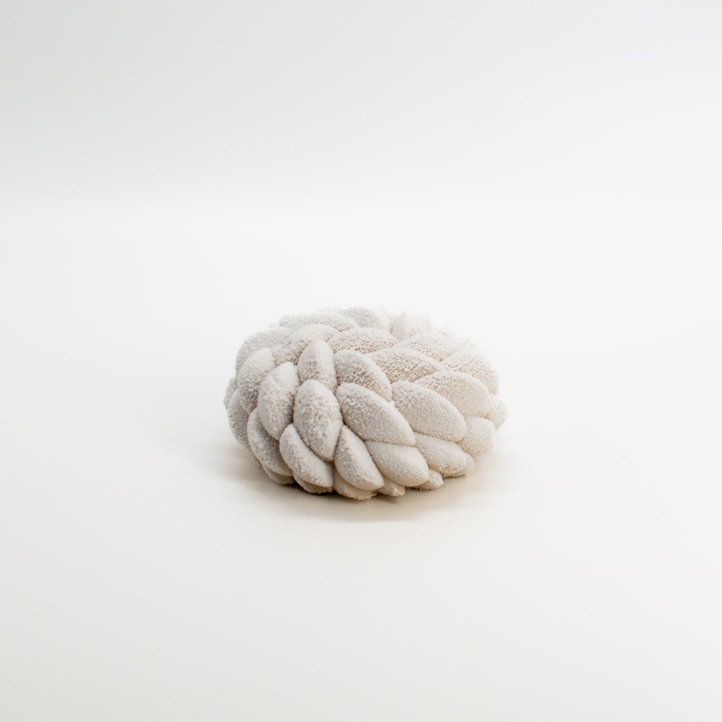 The Earl of Bergamot